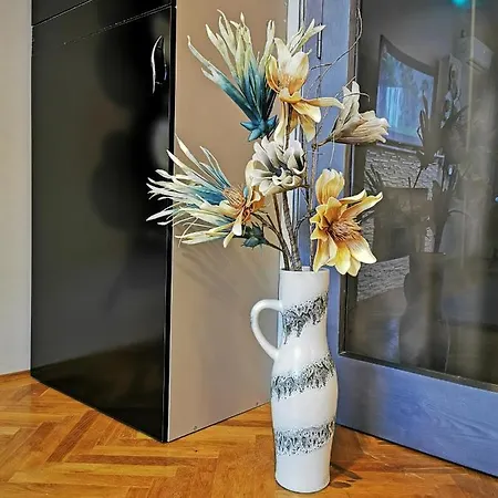 Apartment Crystal Brasov